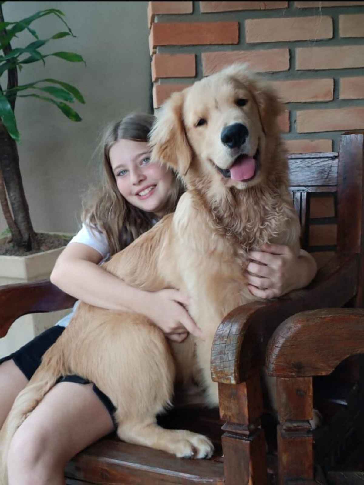 Golden_03